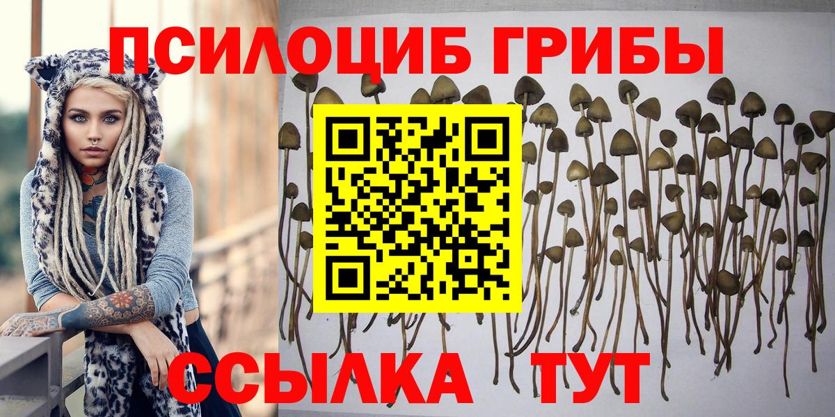 Псилоцибиновые грибы прущие грибы Сердобск