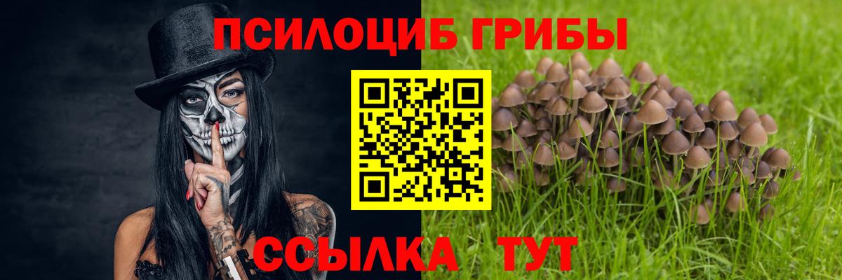 Галлюциногенные грибы GOLDEN TEACHER  Псилоцибиновые грибы MAGIC MUSHROOMS  Вход с VPN  Сердобск 