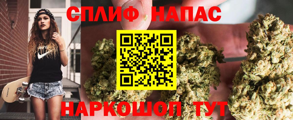 Каннабис OG Kush Сердобск